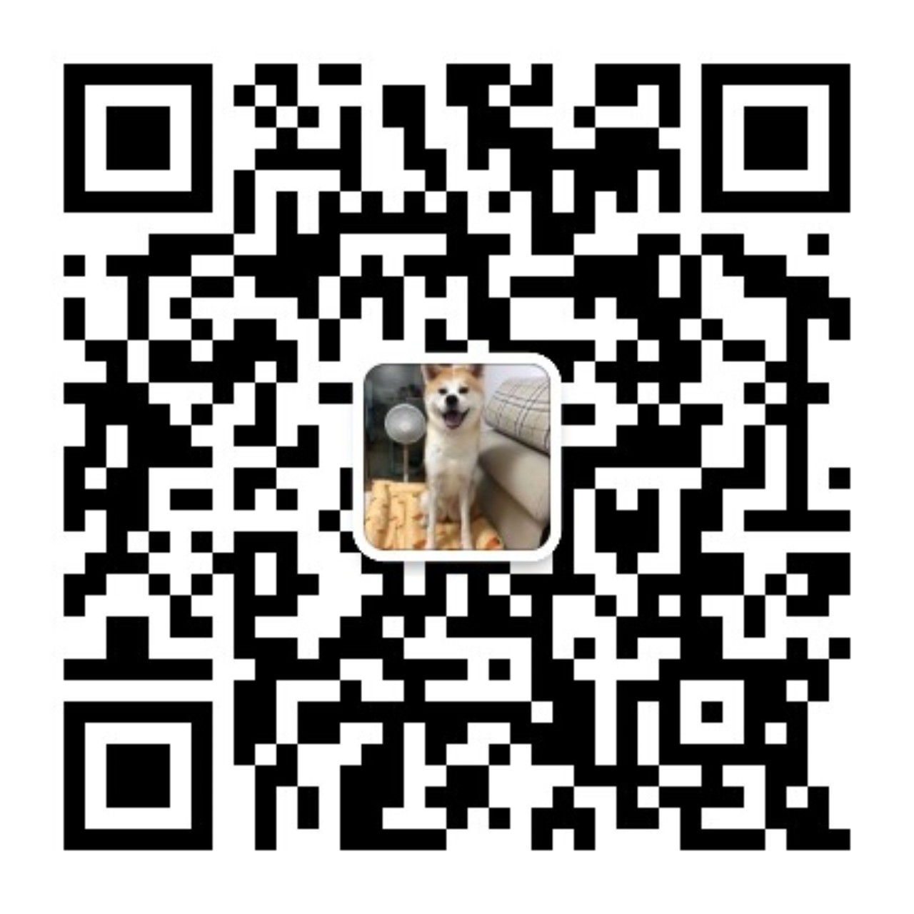 杨冰 wechat